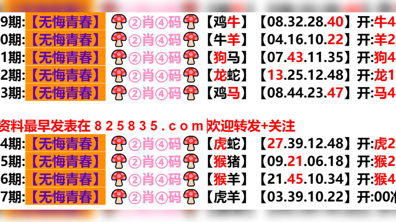 新奥门开奖结果2024_精彩对决解析_手机版713.934