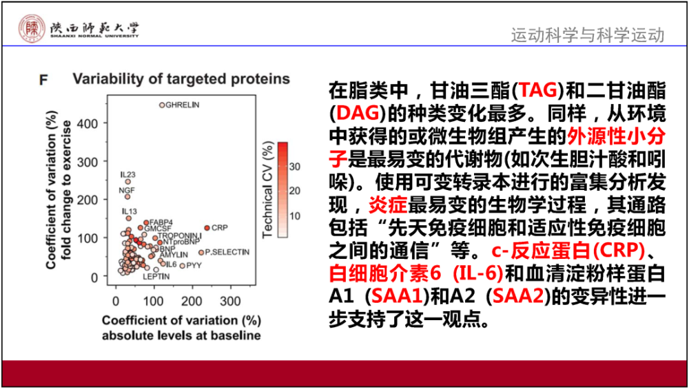 澳门正版资料免费大全精准_详细解答解释落实_安装版v265.718