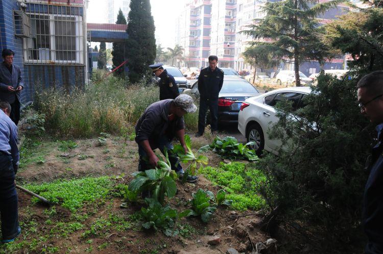 澳门，这座充满魅力的城市，素有“东方蒙地卡罗”之称。无论是璀璨的赌场、琳琅满目的购物中心，还是美丽的夜景，澳门都以其独特的风情吸引着无数游客。而在这座充满机会的城市中，有一个让人激动不已的存在，那就是2024新澳门天天开好彩大全孔的五伏。这个彩票新玩法，犹如一颗璀璨的宝石，吸引着无数人前来挑战和尝试。在这里，幸运与财富并肩而来，每个人都可能在这个游戏中找到属于自己的运气之门。_一句引发热议_安装版v132.158