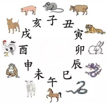 孤寂好友 第5页