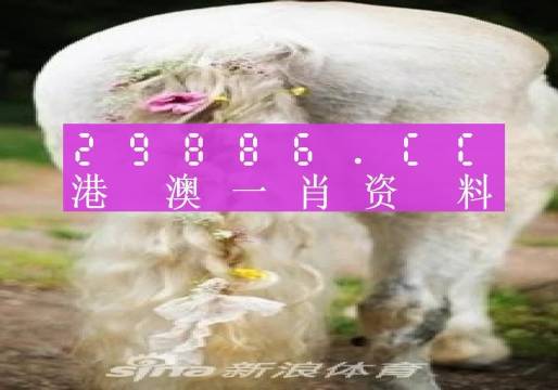 实时报 第9页