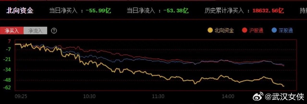 《1肖一码》作为一种投资方式，在近几年的市场中引起了广泛的关注和讨论。在这里，我们将从多个角度对《1肖一码》进行探讨，分析其特点、风险以及适合的投资者群体。