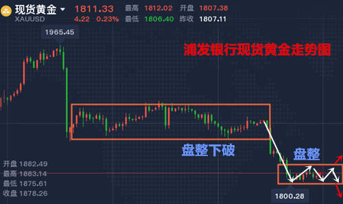 2023年一码一肖100精准：揭秘数字背后的趋势与机遇