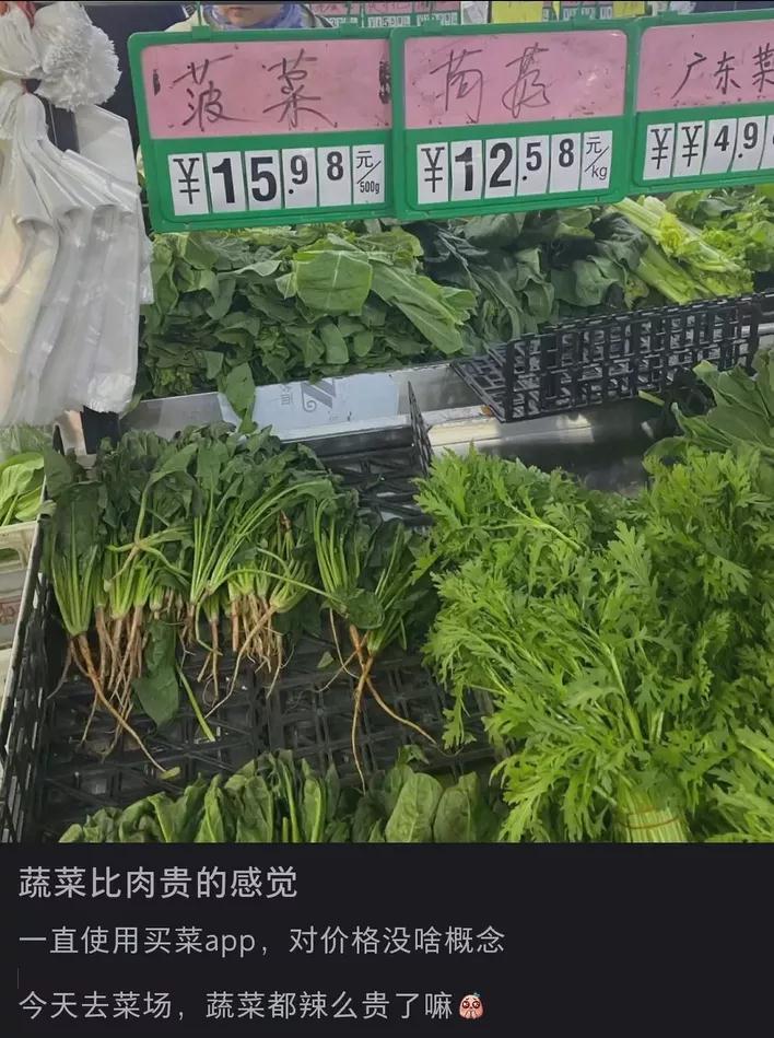 离让更多植物自建“化肥厂”又近了一步？植物精准辨“敌友”的秘密初解